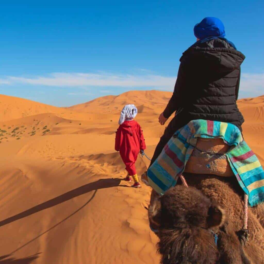 camel trekking in sahara desert